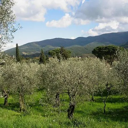 Kır Evi Antica Fonte Residenza Di *